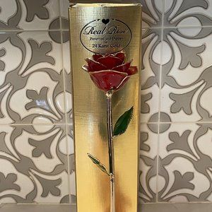 Steven Singer -24k Gold Dipped Red Rose